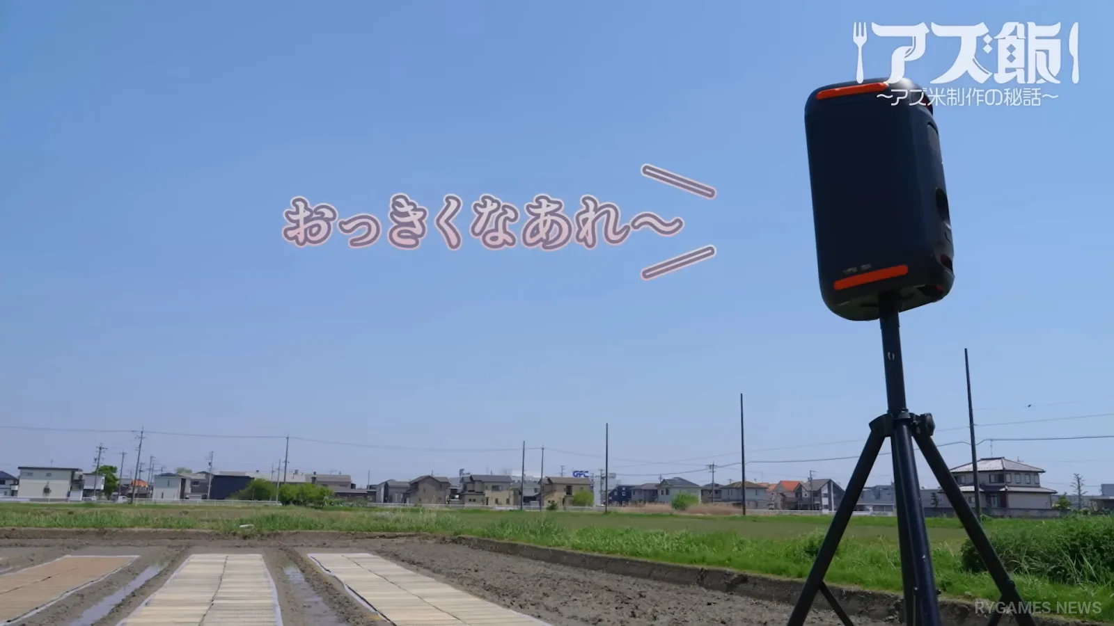 Azumeshi Gyaru ASMR Rice-Making Documentary - gambar 3