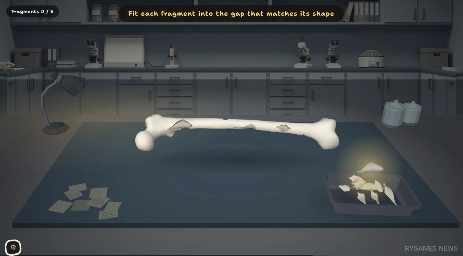 Screenshot gameplay Bone to Pick: Forensic Case Files dari Steam - gambar 6