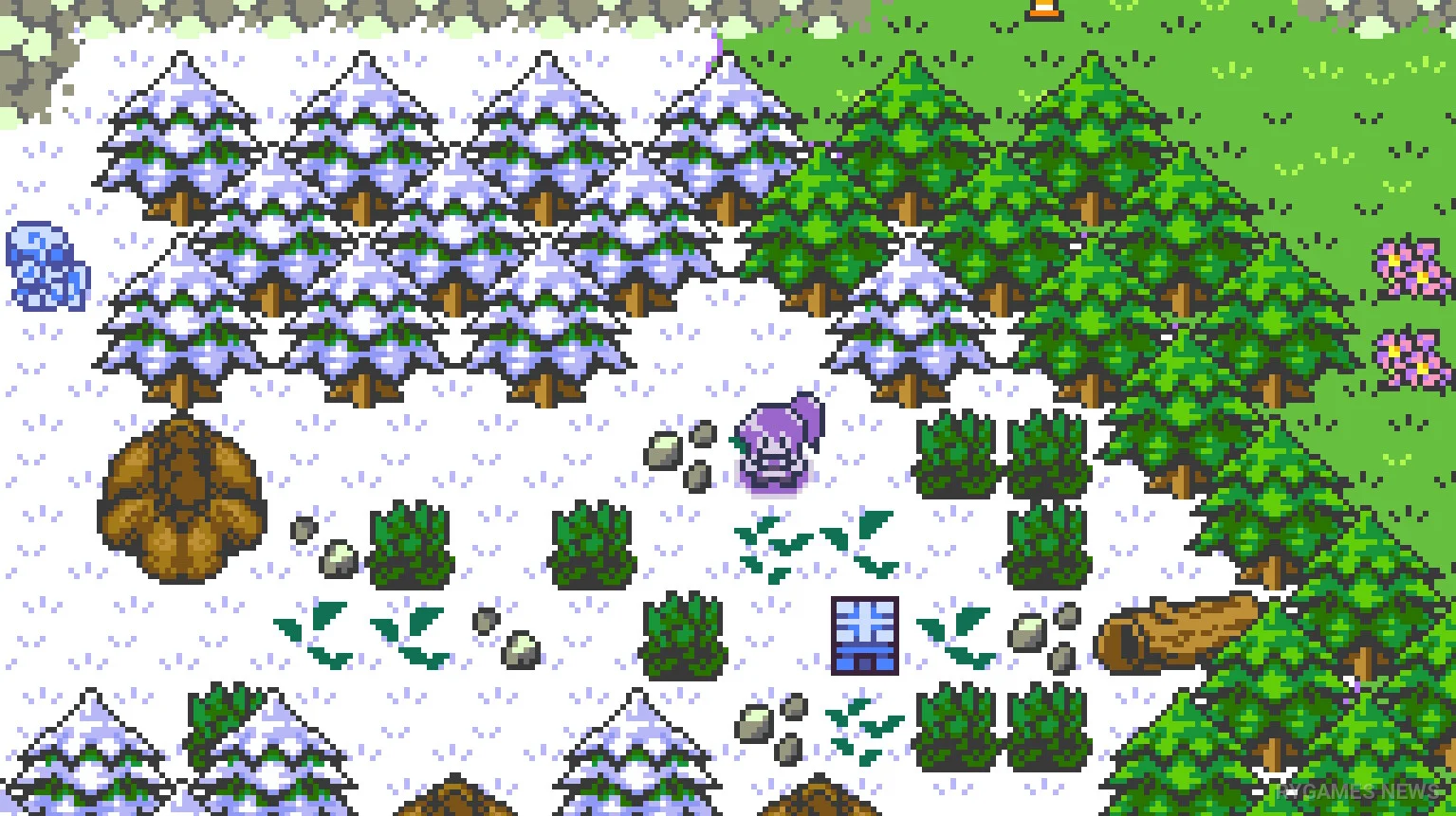 Screenshot gameplay Dokimon Quest dari Steam - gambar 7