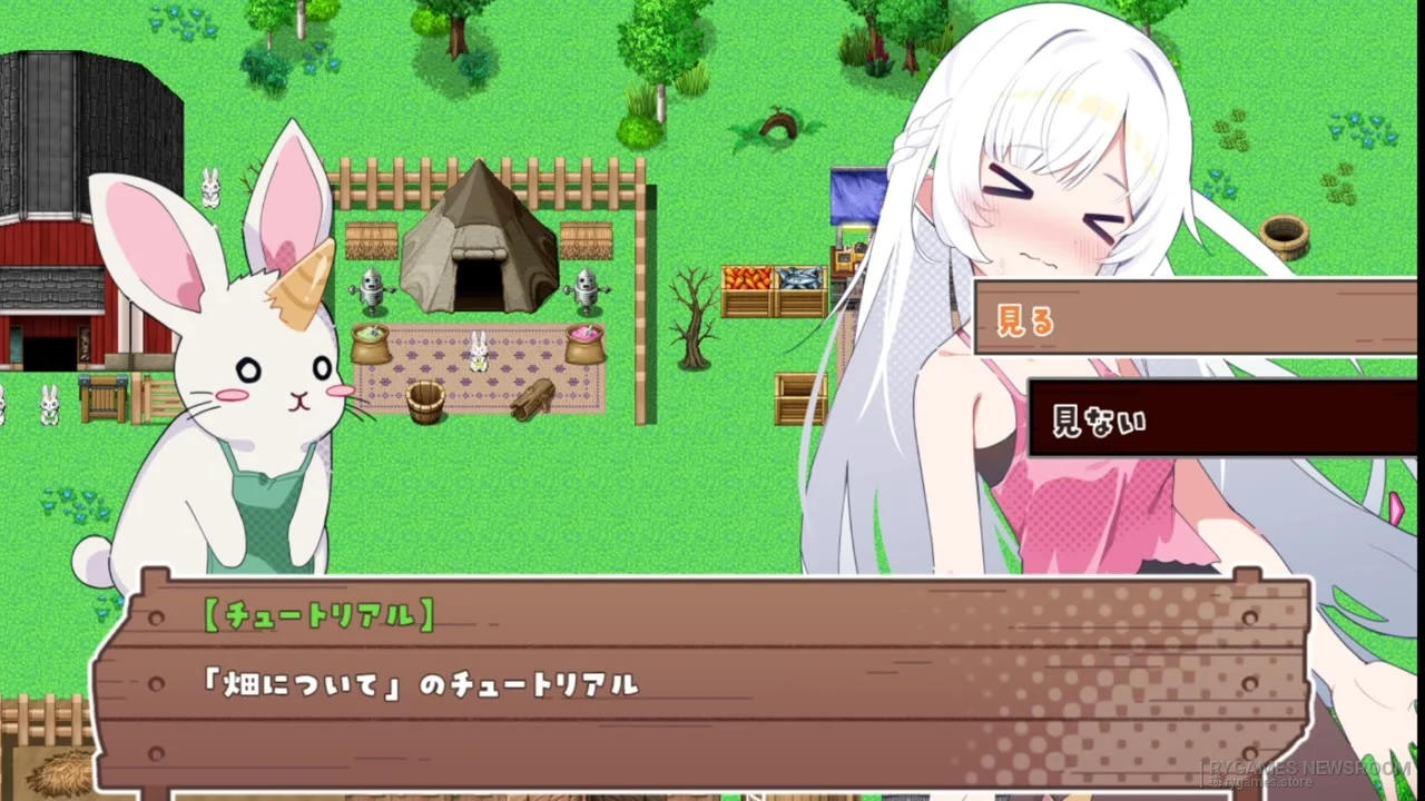 Sister Compass: Slow Life Loving with My Sisters on a Deserted Island gameplay screenshots from Steam - gambar 7